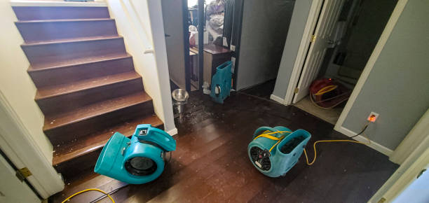 Best Fire Damage Restoration  in Weweantic, MA