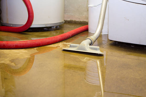 Best Carpet water damage restoration  in Weweantic, MA