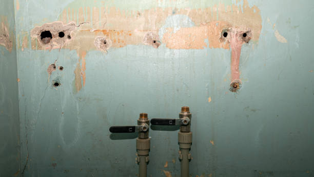 Carpet water damage restoration in Weweantic, MA